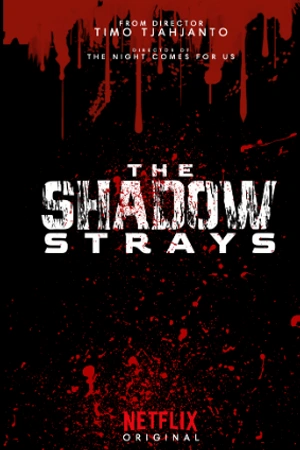 ดูหนัง The Shadow Strays (2024) นักฆ่าเงาล่าทรชน